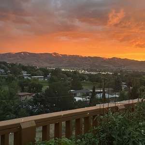 Meet your Posher, Donna